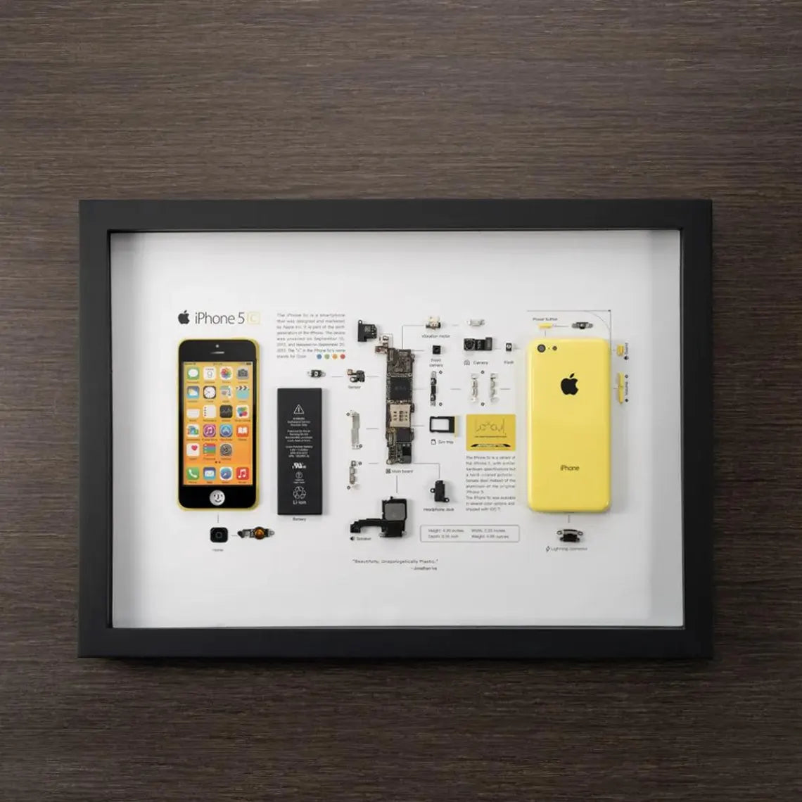 iPhone -5C